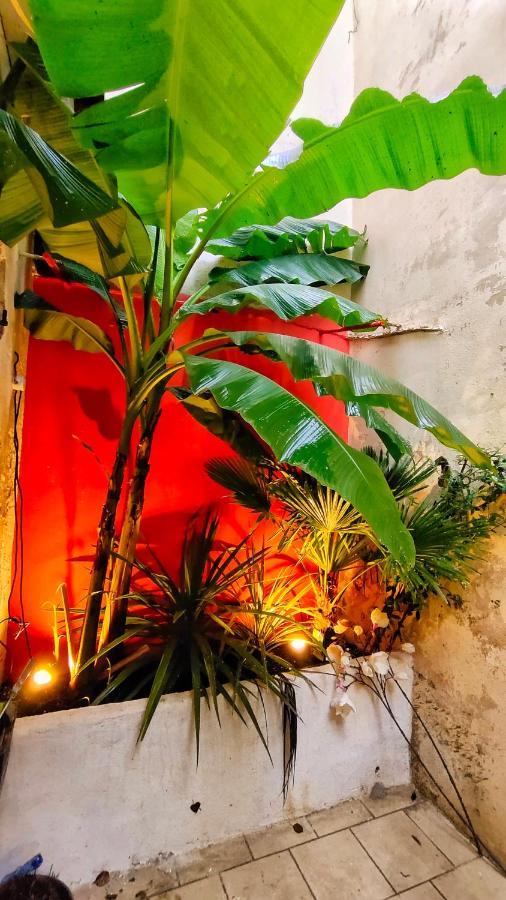 Votre Escale Jungle Sauna & Spa Niort Kültér fotó